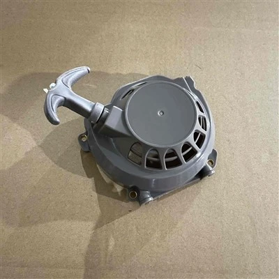 product-400-400 1E48F/63CC Starter Assy